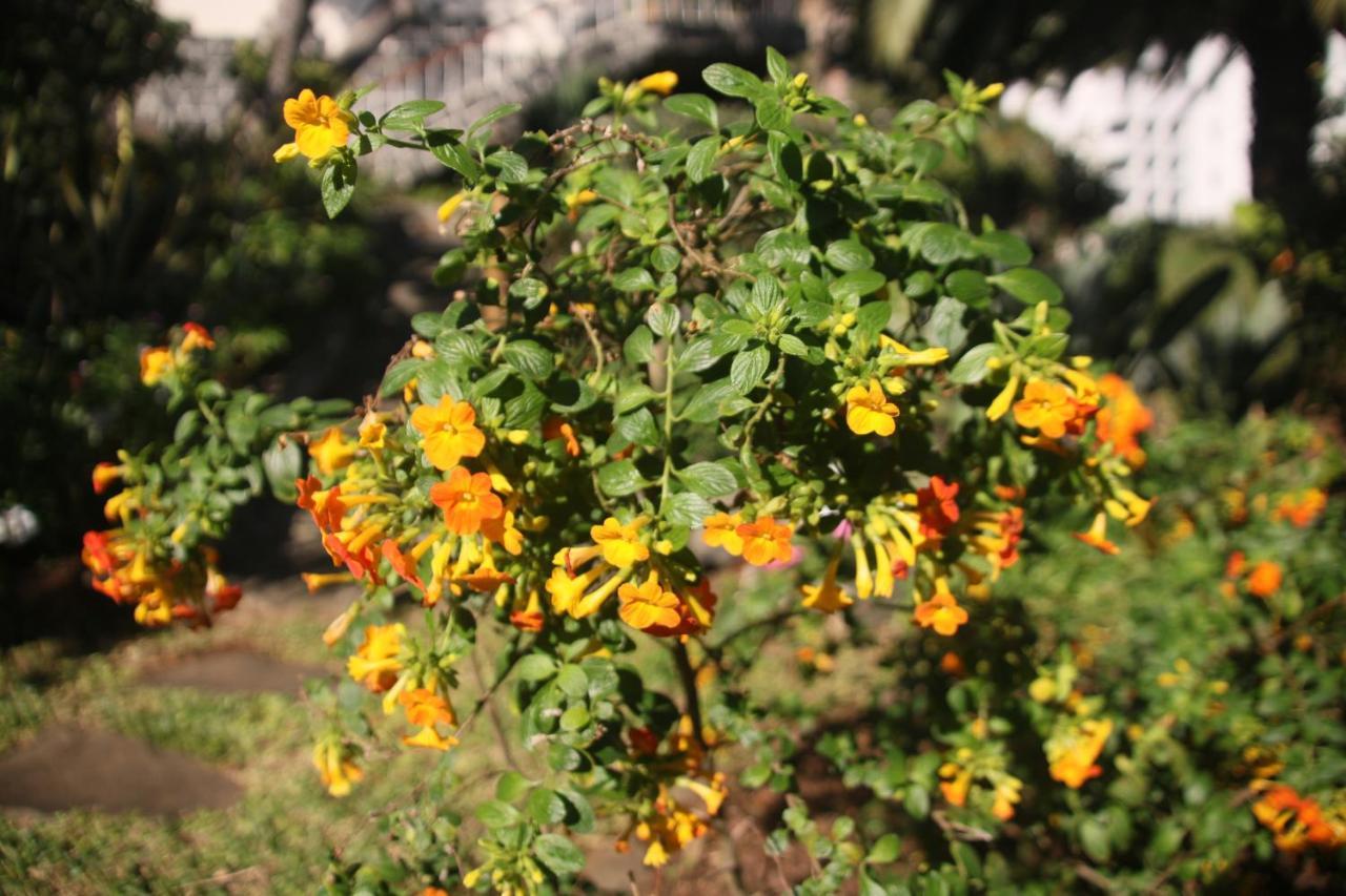 Bungalow Garden View
