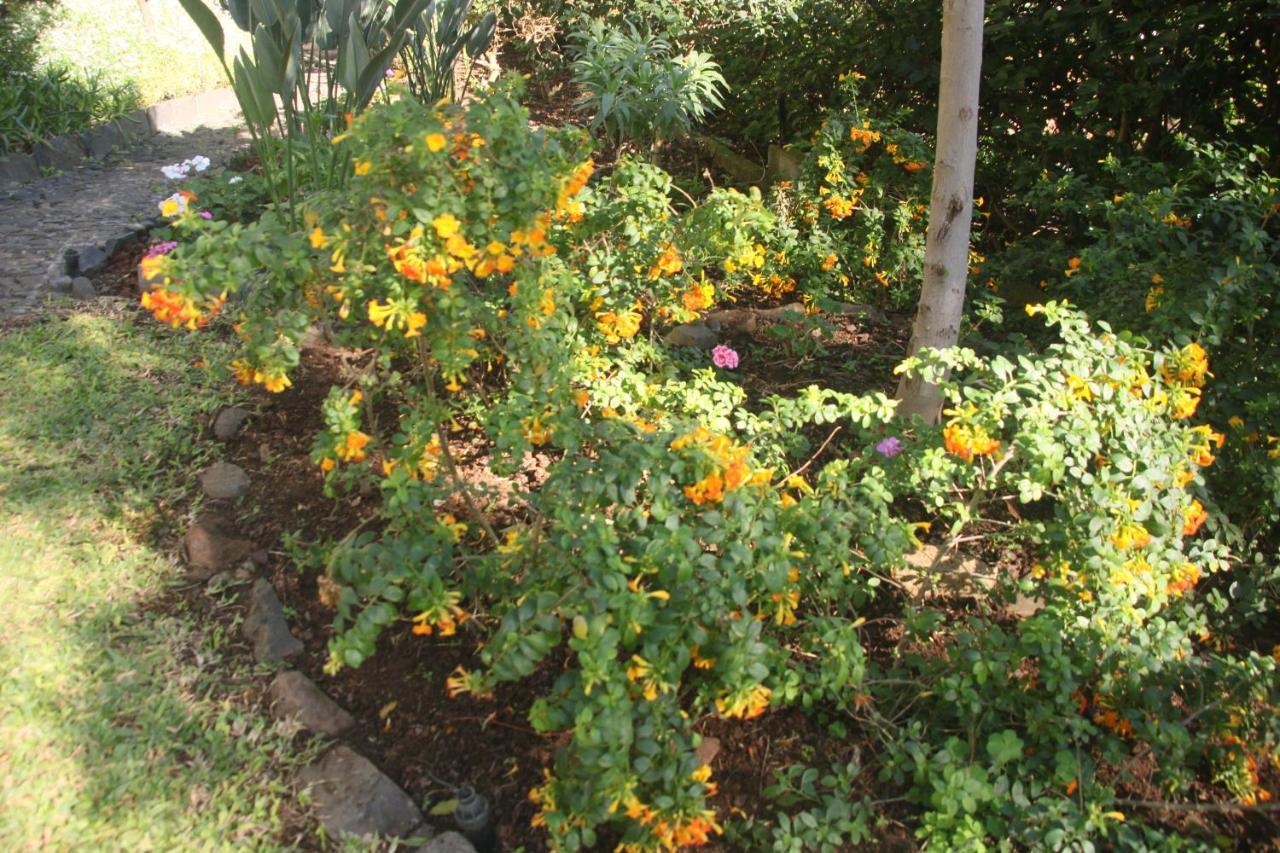 Bungalow Garden View
