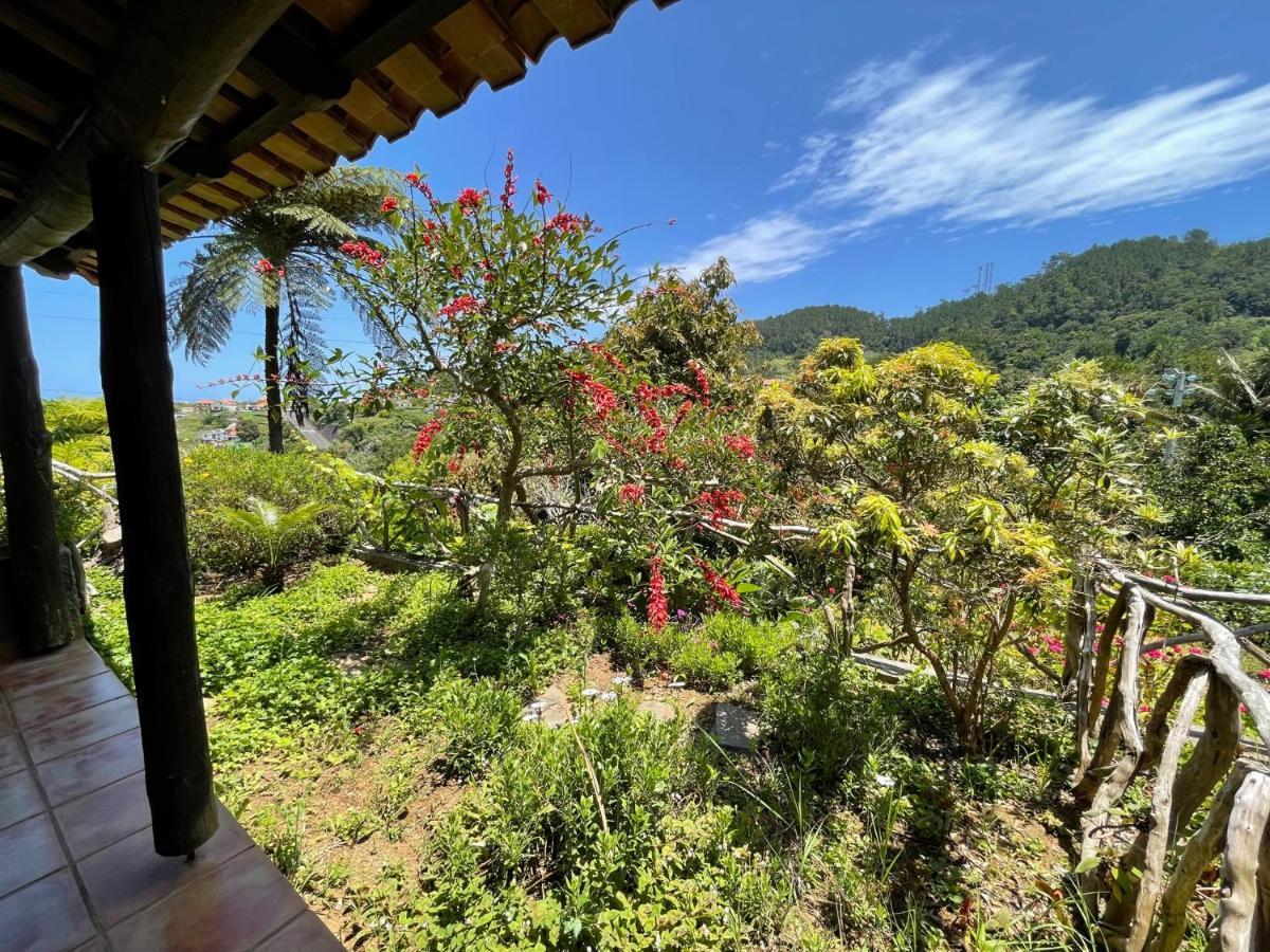 Studio mit Gartenblick