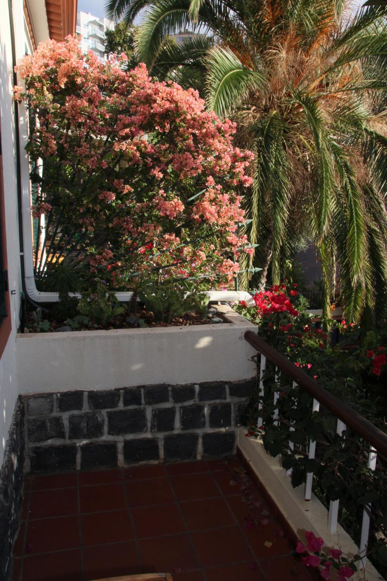 Bungalow Sea View