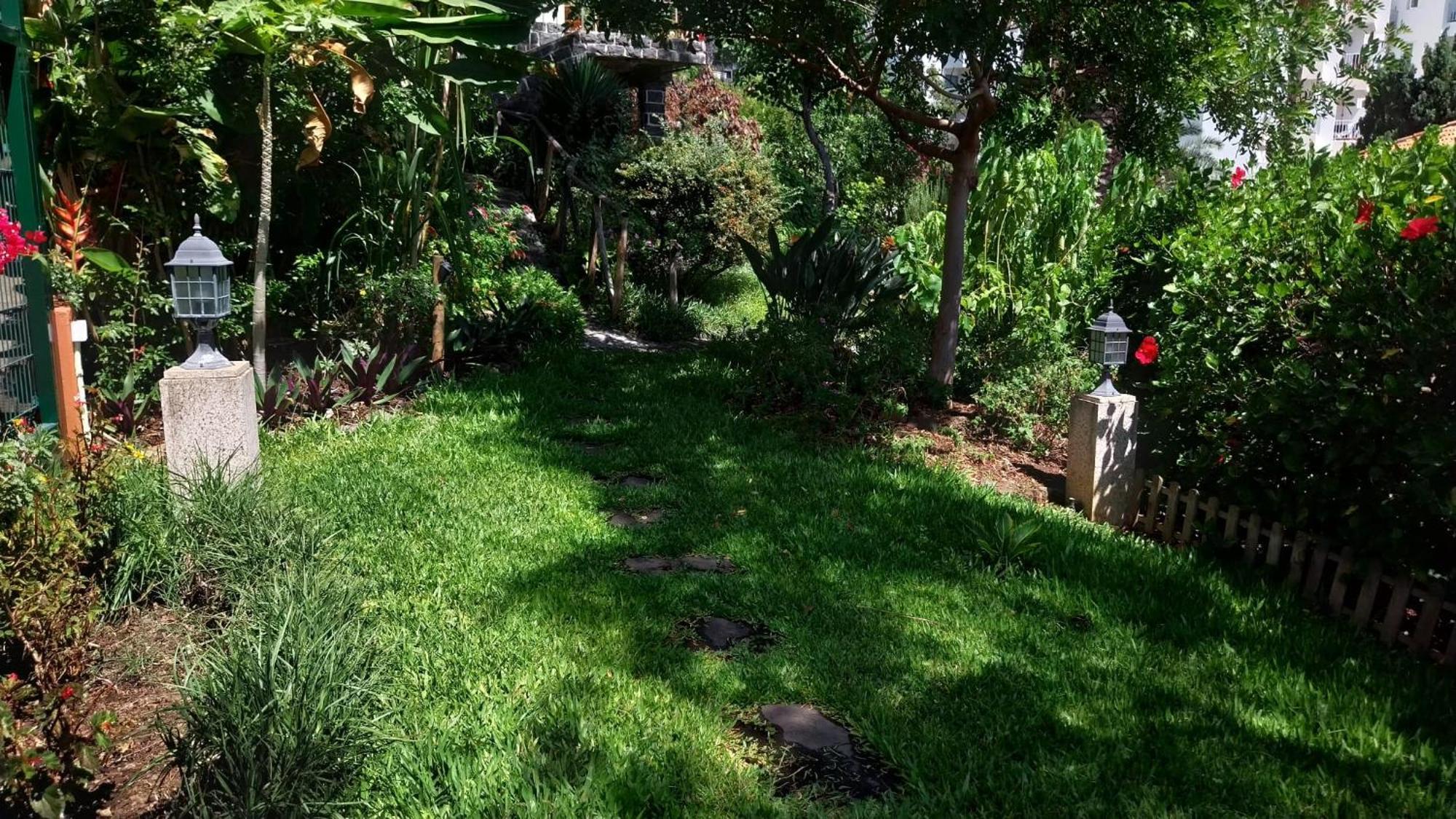 Bungalow Garden View