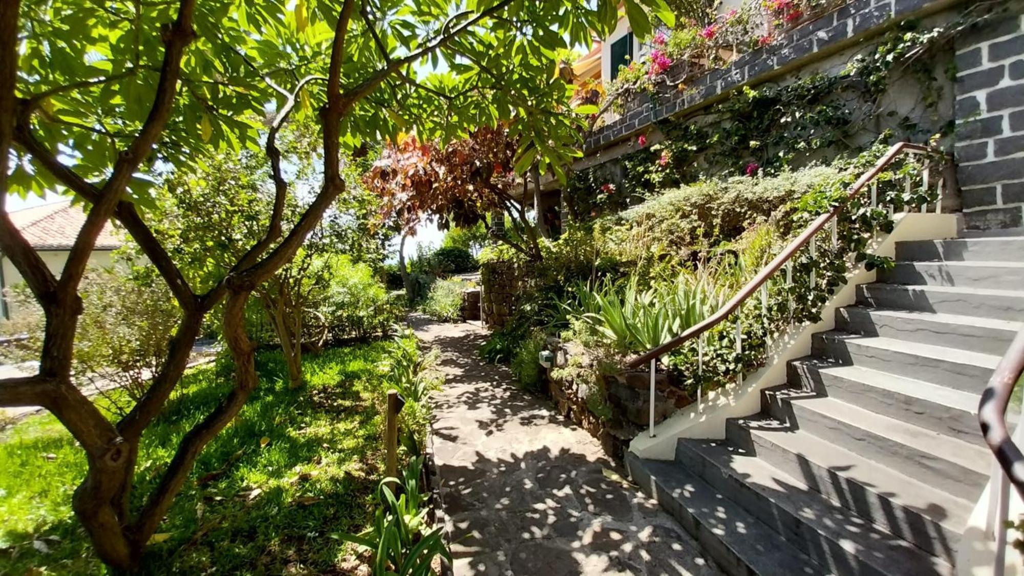 Bungalow Garden View