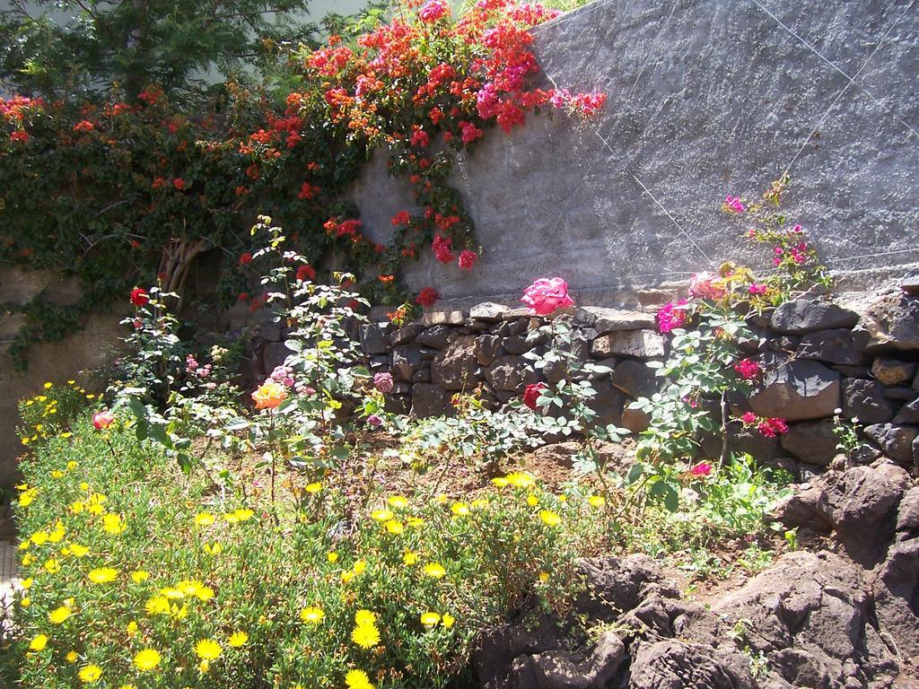 Bungalow Garden View