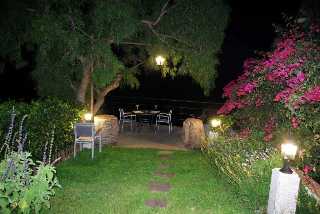 Bungalow Garden View