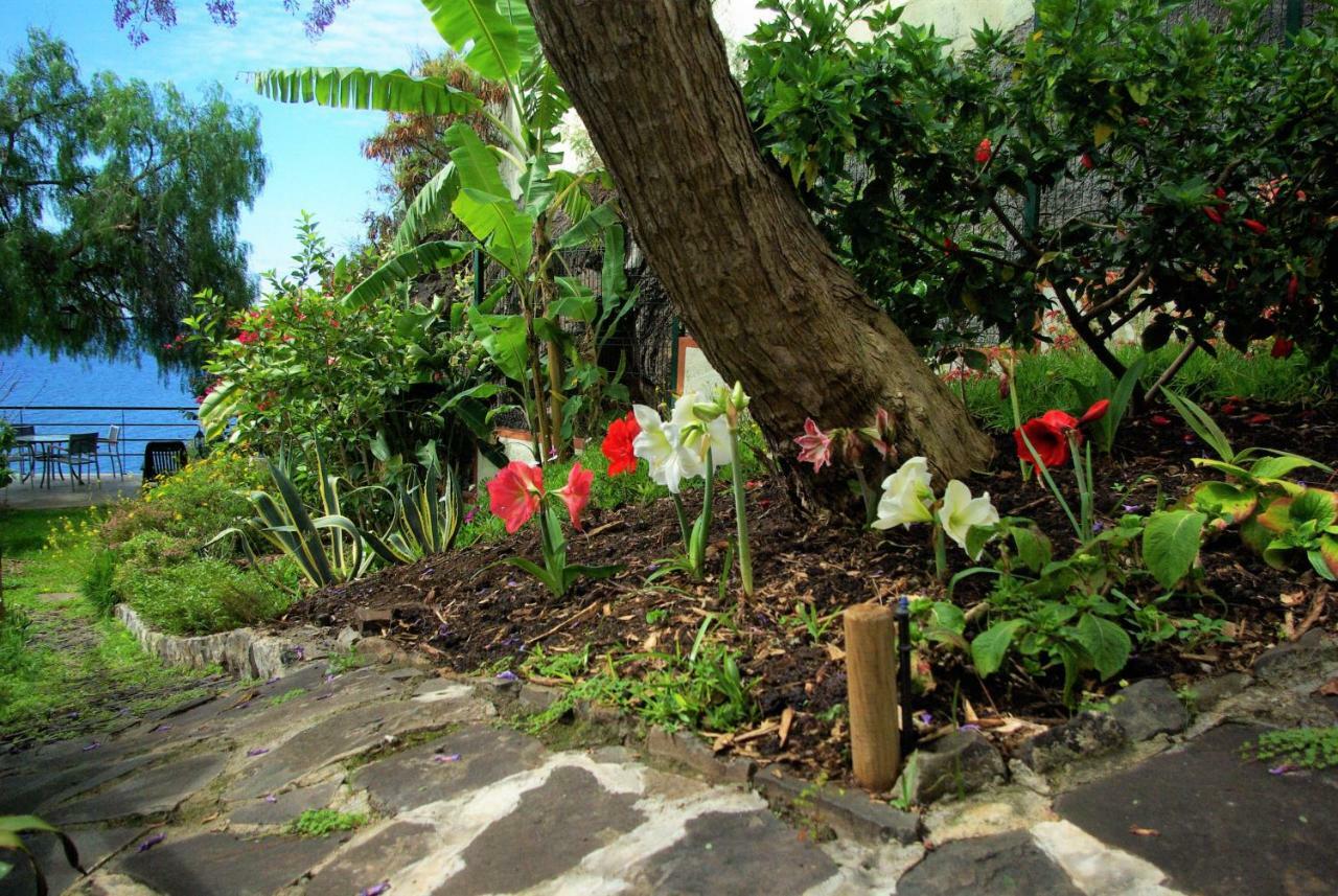 Bungalow Garden View