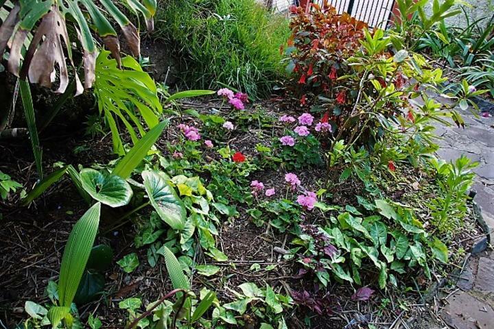 Bungalow Garden View