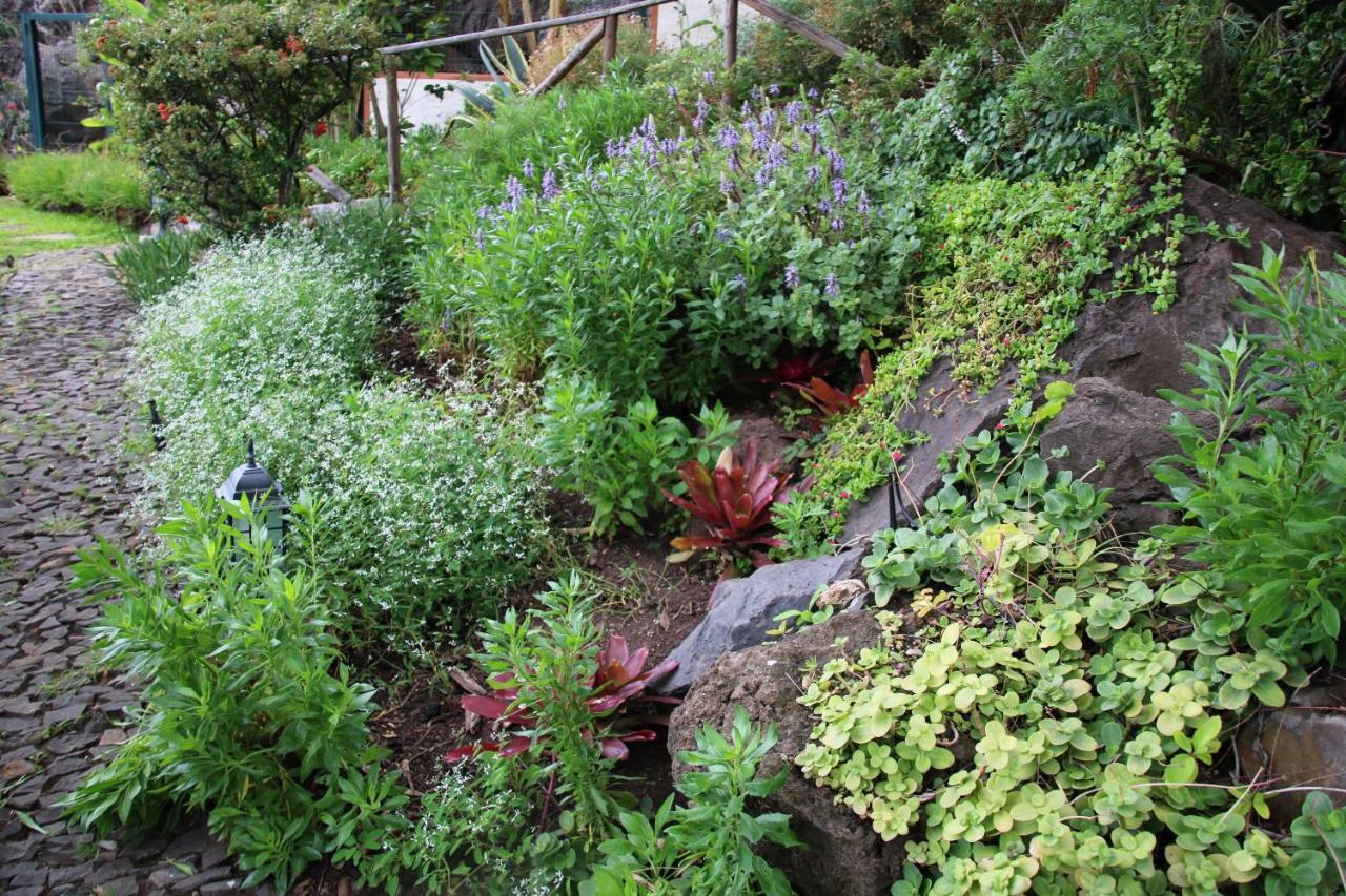 Bungalow Garden View
