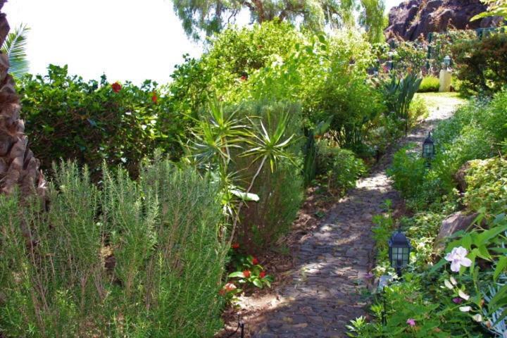 Bungalow Garden View
