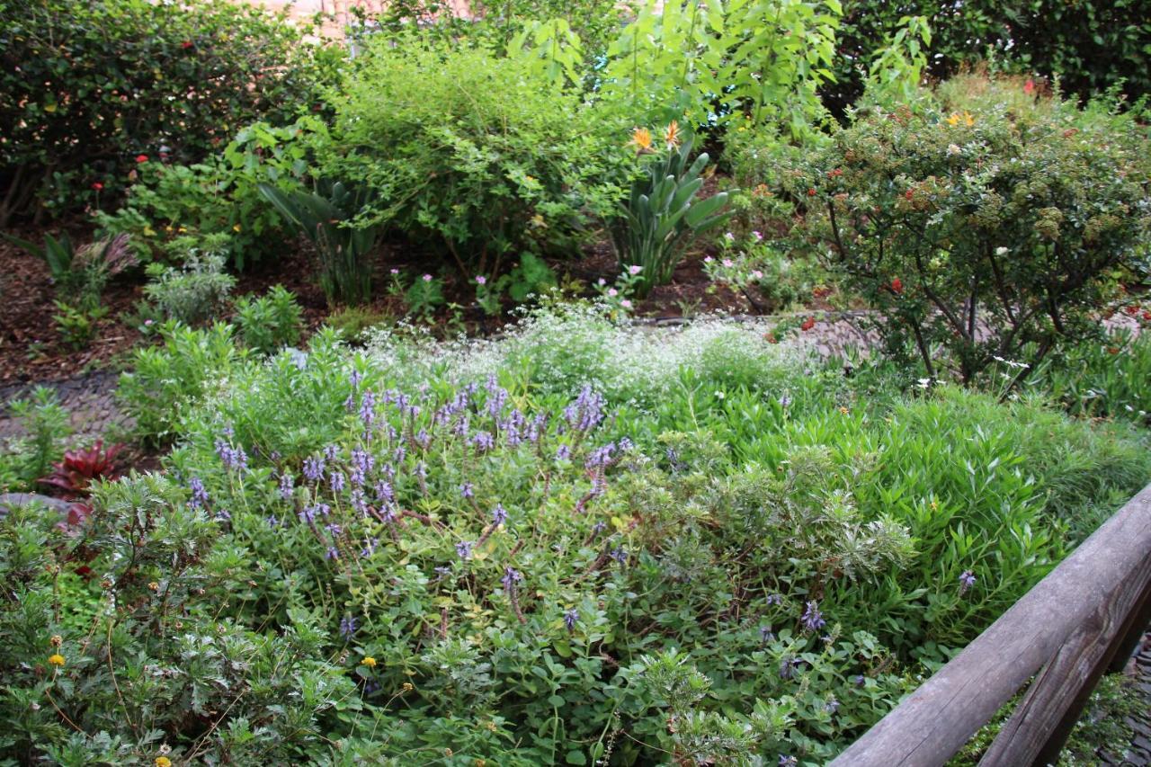 Bungalow Garden View