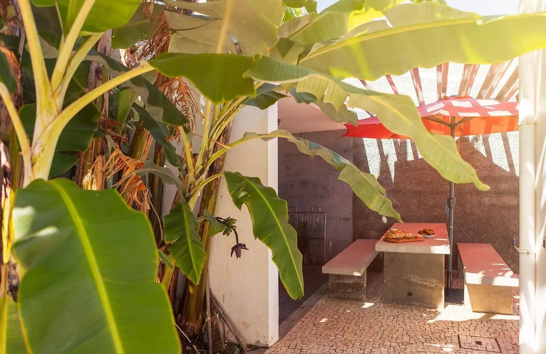 Villa Amplitude-1
