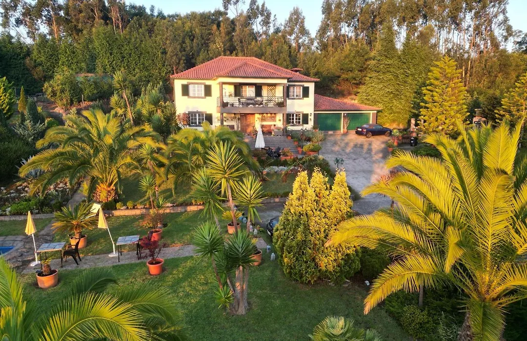 Homeoffice Madeira - Coliving & Coworking With A Nice Community-1
