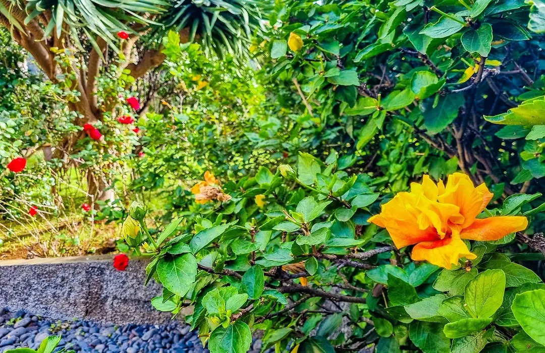 Villa Atlantico, Your Family&Friends Retreat-1