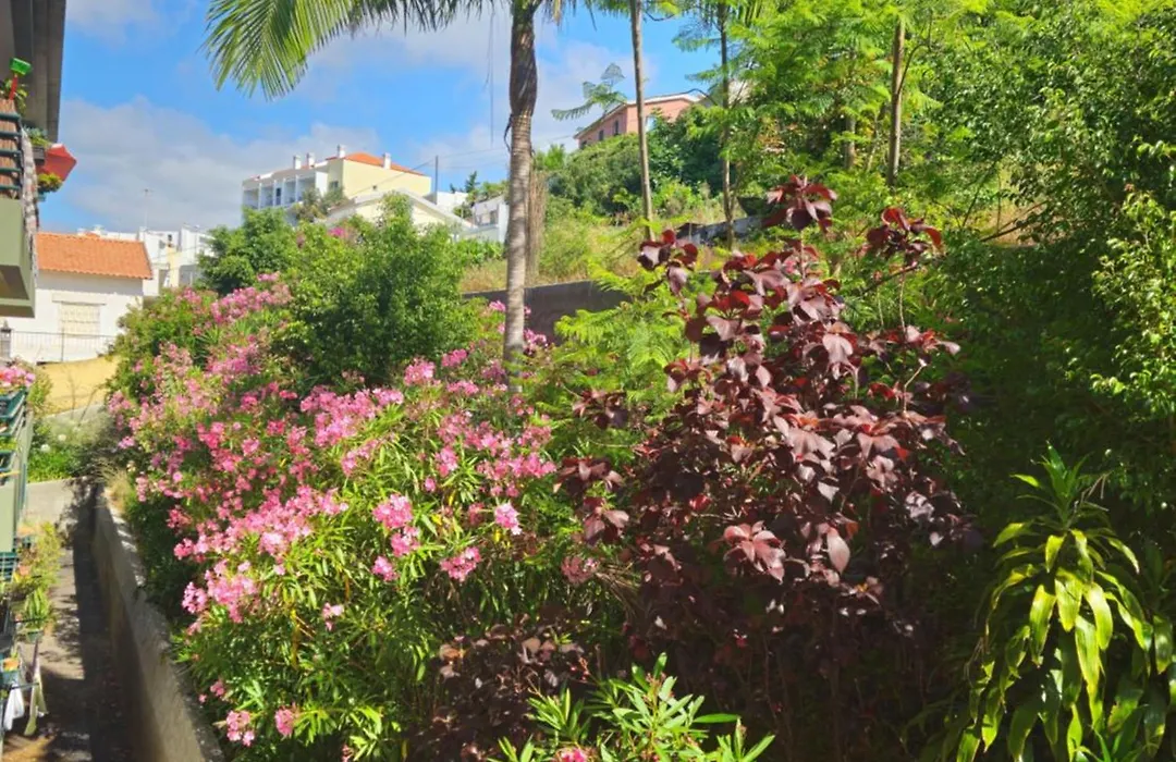 Madeira Funchal Gardens-1