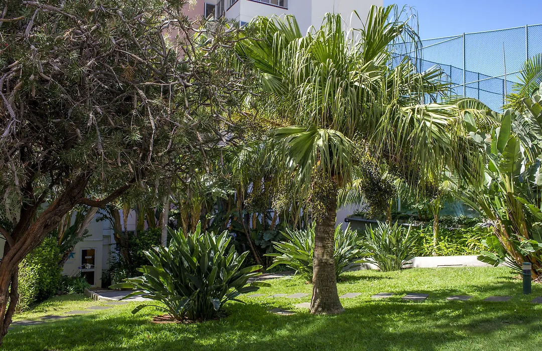 Dorisol Buganvilia Studio Hotel-1