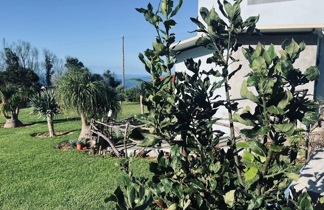Villa Do Monte-1