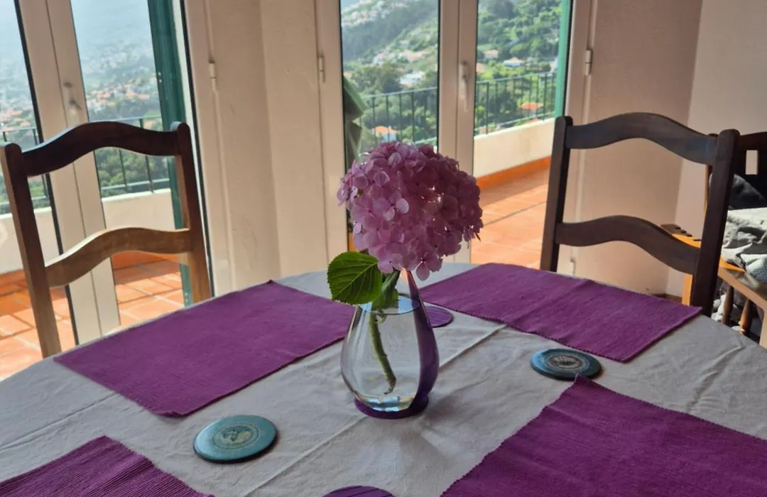 Apartamento Charmoso no Funchal, com grande Jardim e Vista Esplêndida-1
