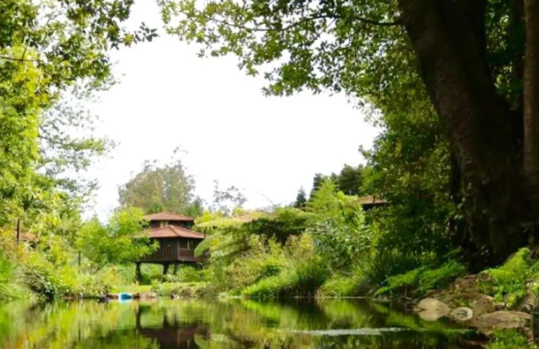 Quinta Das Eiras-1