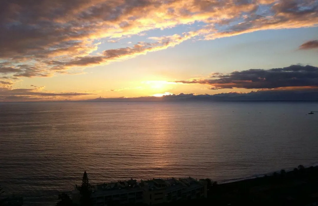 Shearwaters - Sounds Of The Sea-1