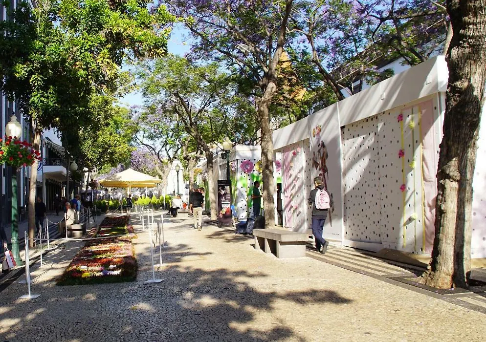 Ribeira Funchal Center-1