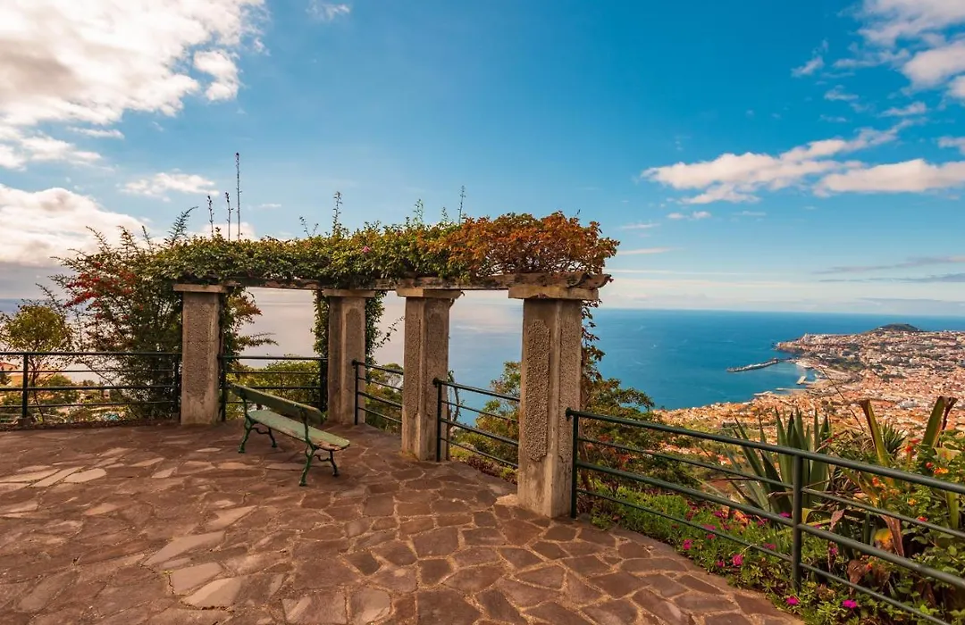 Flh Funchal Ocean View With Pool-1