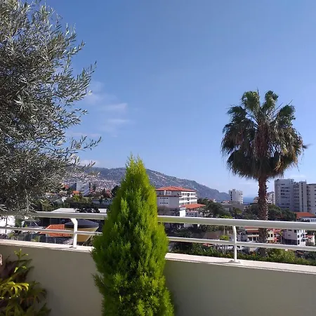 Mericia'S Gorgeous View-2