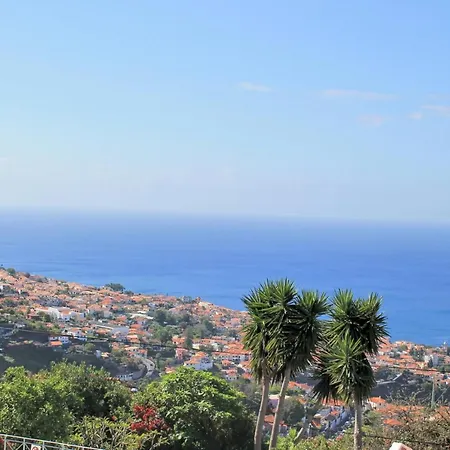 Ourmadeira - Quinta D'Alegria-2