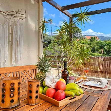 Magnolia, A Home In Madeira-3