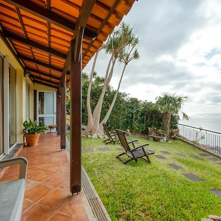 Palm Tree House By Amazing Madeira-2