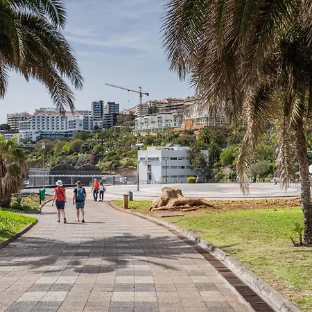 Oceanside Terrace Apartment By Holiday Rental Madeira-2