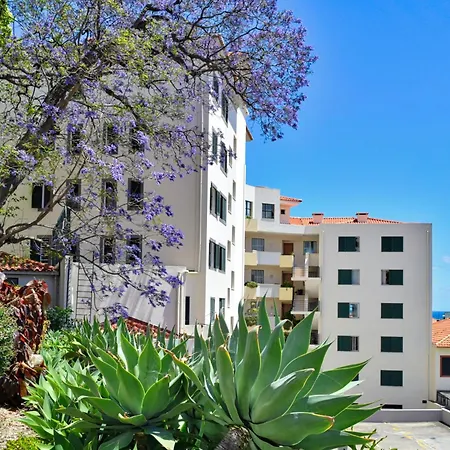 Encarnacao Funchal, A Home In Madeira-3