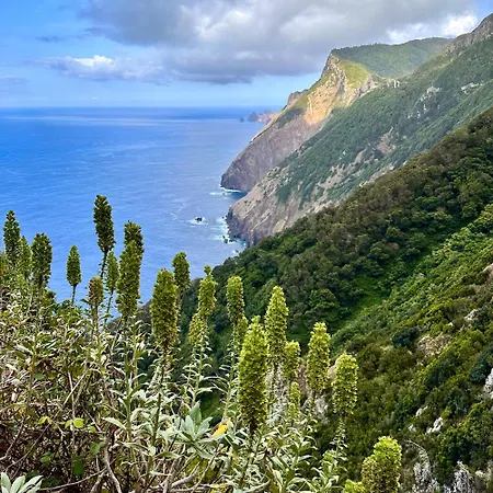 Getaway To Blue Paradise At Madeira Island-3
