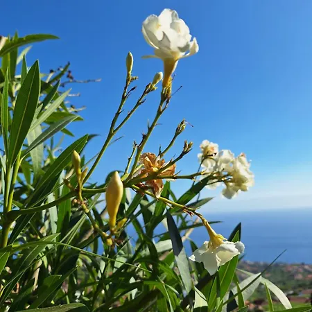 Casa-Albatros-3