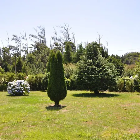 Luxury Villa Camelia. Mountains, Golf, Horses, Levada Walks.-2