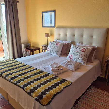 Apartamento Charmoso no Funchal, com grande Jardim e Vista Esplêndida-3
