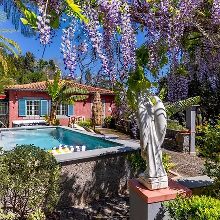 Quinta Belmonte With Private Heated Pool In Funchal-2