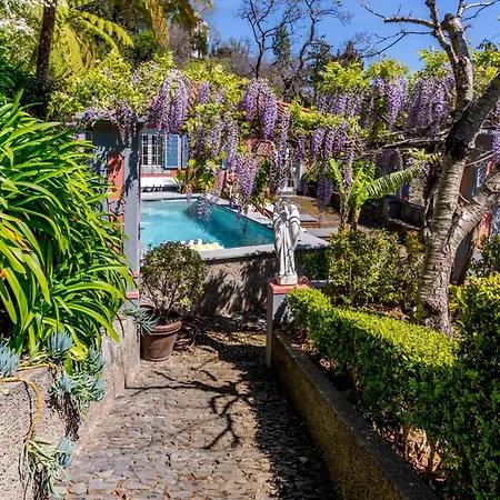 Quinta Belmonte With Private Heated Pool In Funchal-3