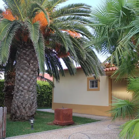 Welcoming House With Mountain View In Porto Santo-3