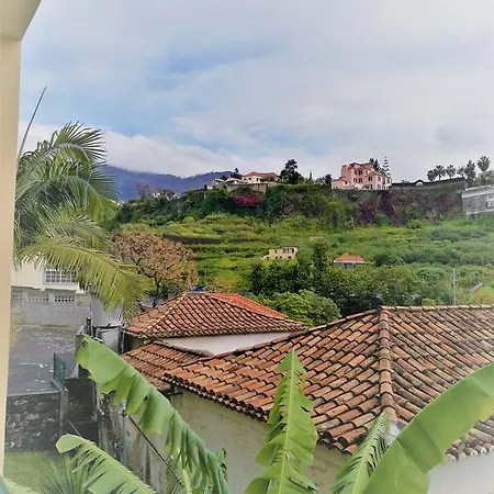 Feel Funchal-2
