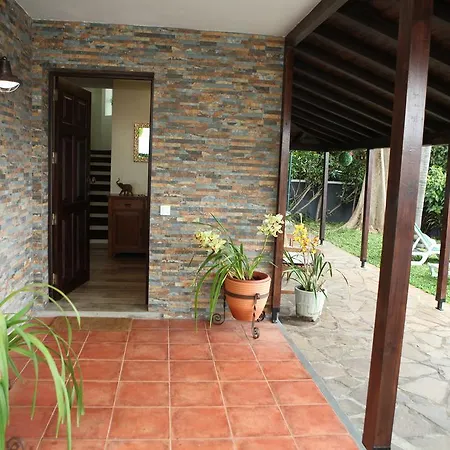 Villa Tulip Tree-3
