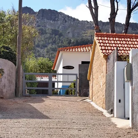 Ourmadeira - Villa Mary-3