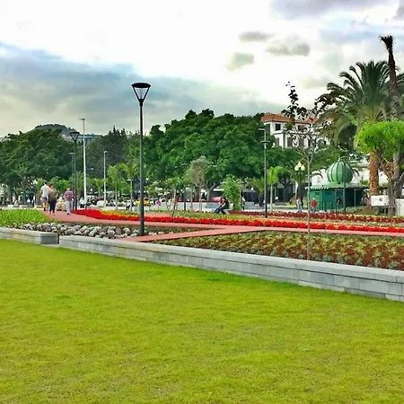 Central Suite In Funchal 1N-3