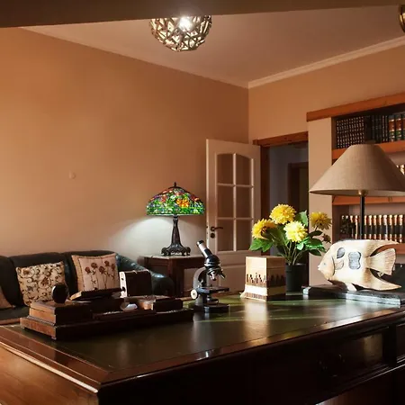 Funcho - House With Fantastic Funchal Bay And Ocean Views-2