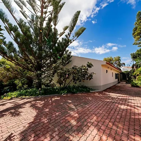 Villa Albatroz-3