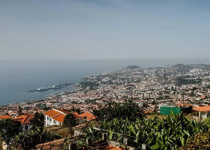 City View Gardens Funchal  che accetta animali