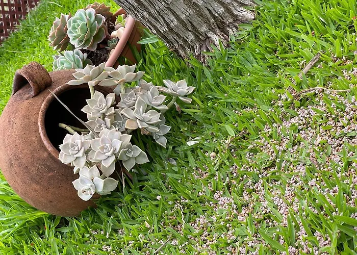 Ville di lusso di Arcipelago di Madeira