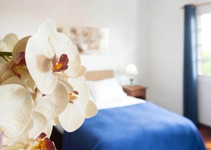 Charming Apartments In Funchal - Sao Goncalo