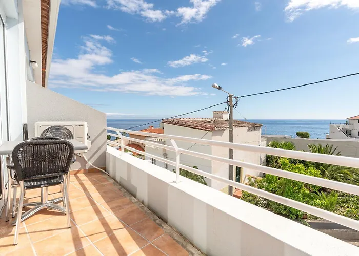 Hotel con animali ammessi a Arcipelago di Madeira